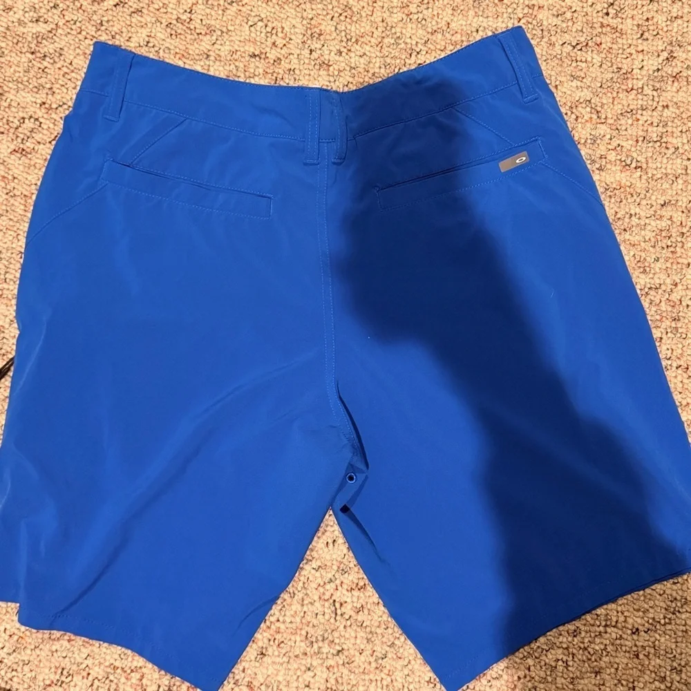 Oakley Men's Vibrant Blue Board Shorts